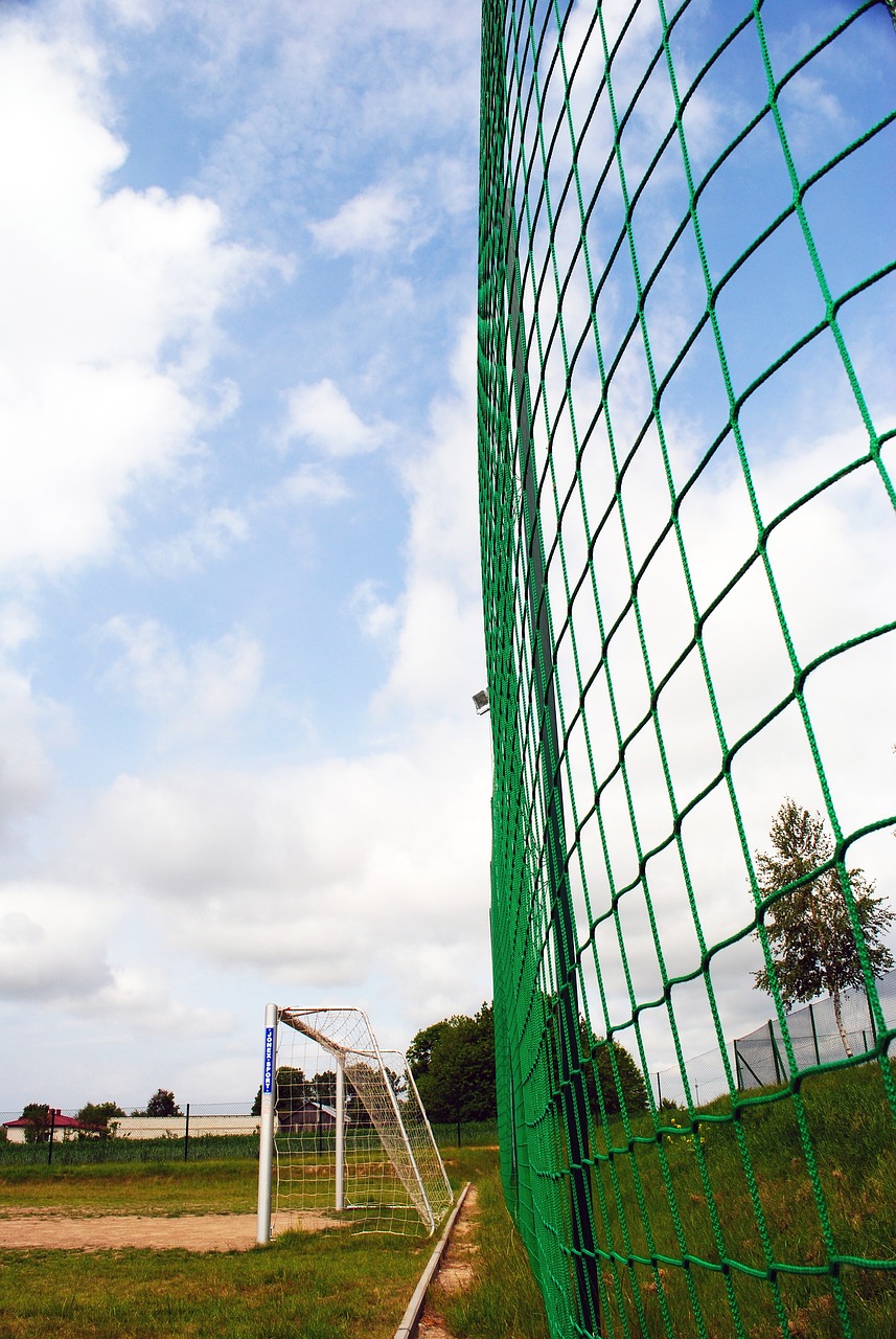 定决心押注 定决心押注