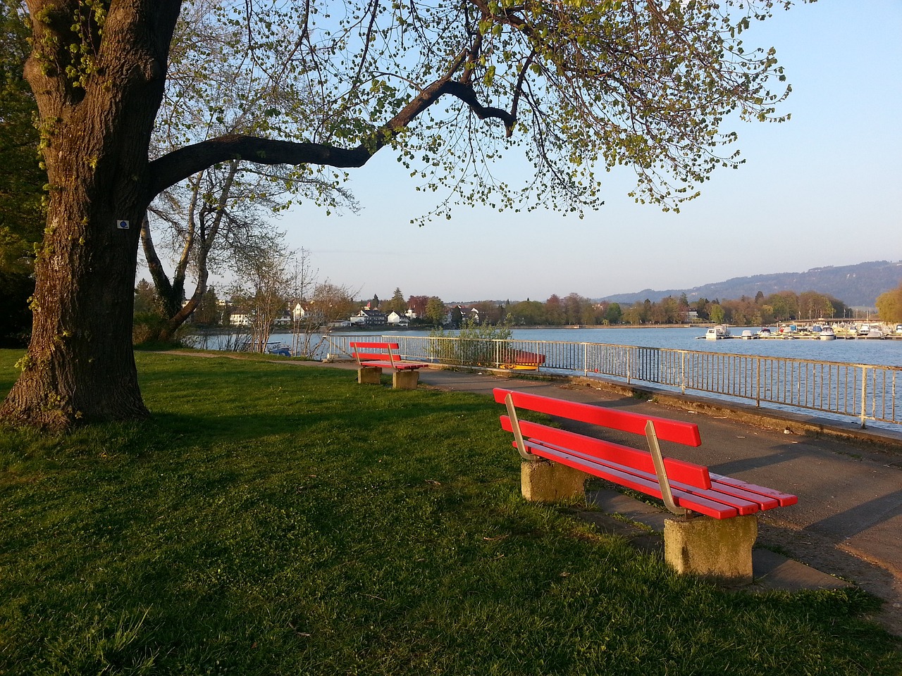 程设置和教 程设置和教