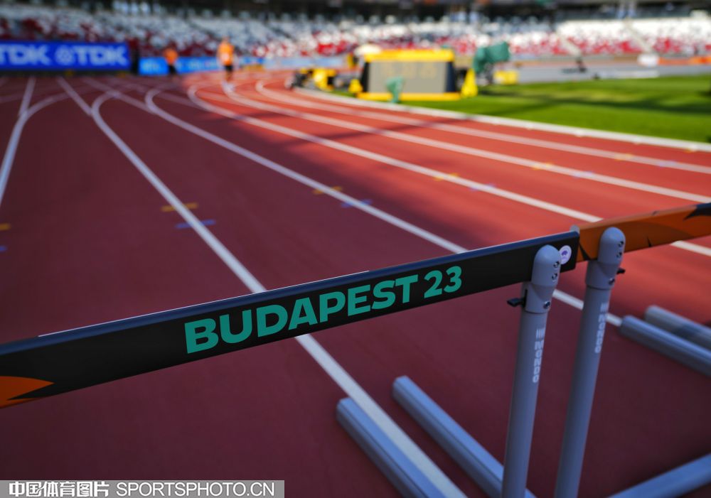 和他们对篮 和他们对篮